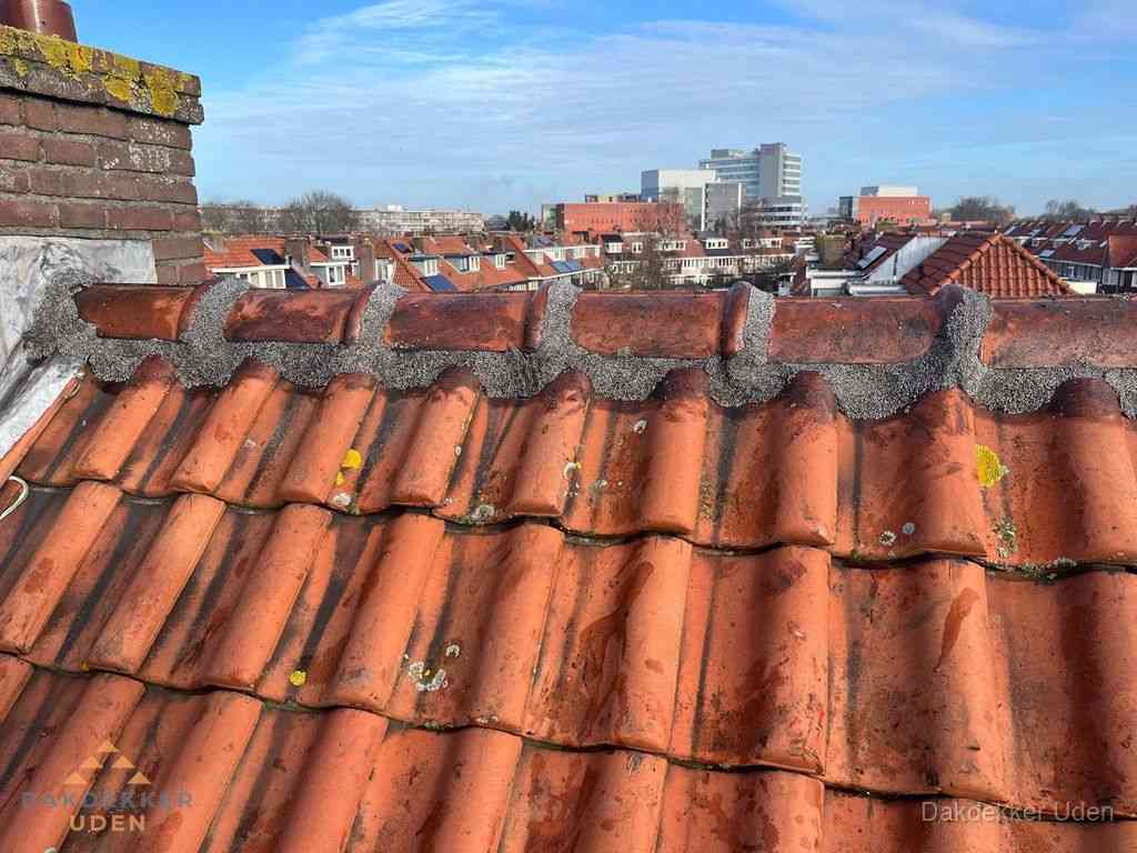 Uden Daken Renoveren Uden Daken Renoveren